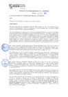 Vista preliminar de documento rgm21577
