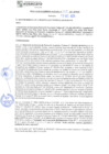 Vista preliminar de documento rgm21578