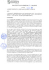 Vista preliminar de documento rgm21579