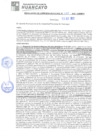 Vista preliminar de documento rgm21580