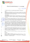 Vista preliminar de documento rgm21584