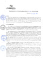 Vista preliminar de documento rgm21582