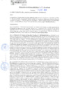 Vista preliminar de documento rgm21583