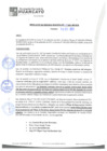 Vista preliminar de documento rgm21589