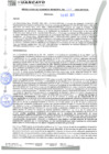 Vista preliminar de documento rgm21587