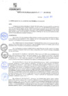 Vista preliminar de documento rgm21585
