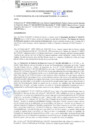 Vista preliminar de documento rgm21591