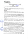 Vista preliminar de documento rgm21597