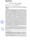 Vista preliminar de documento rgm21594