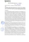 Vista preliminar de documento rgm21595