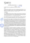 Vista preliminar de documento rgm21599