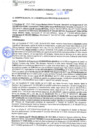 Vista preliminar de documento rgm21593