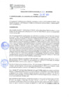 Vista preliminar de documento rgm21606