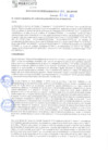 Vista preliminar de documento rgm21604