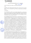 Vista preliminar de documento rgm21605