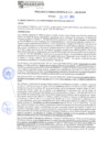 Vista preliminar de documento rgm21610