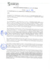 Vista preliminar de documento rgm21627