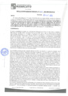 Vista preliminar de documento rgm21621