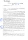 Vista preliminar de documento rgm21629