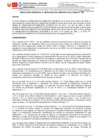 Vista preliminar de documento RG234