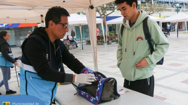 Realizamos una nueva Campaña Veterinaria #Gratuita 🐾 en el Conjunto Residencial San Felipe, en donde nuestros vecinos recibieron recomendaciones para el mejor manejo de la relación de su fiel amigo con el entorno, 👍🏻 así como desparasitación y otros servicios gratuitos a sus mascotitas. 🐕‍🦺
➡️ Este viernes 23 los esperamos desde las 9:00 a.m. en la Plaza San José.