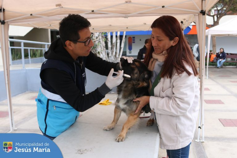 Realizamos una nueva Campaña Veterinaria #Gratuita 🐾 en el Conjunto Residencial San Felipe, en donde nuestros vecinos recibieron recomendaciones para el mejor manejo de la relación de su fiel amigo con el entorno, 👍🏻 así como desparasitación y otros servicios gratuitos a sus mascotitas. 🐕‍🦺
➡️ Este viernes 23 los esperamos desde las 9:00 a.m. en la Plaza San José.