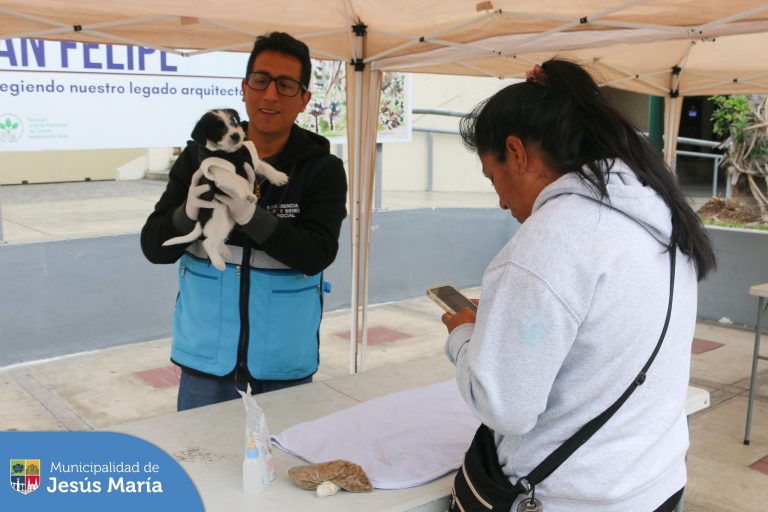 Realizamos una nueva Campaña Veterinaria #Gratuita 🐾 en el Conjunto Residencial San Felipe, en donde nuestros vecinos recibieron recomendaciones para el mejor manejo de la relación de su fiel amigo con el entorno, 👍🏻 así como desparasitación y otros servicios gratuitos a sus mascotitas. 🐕‍🦺
➡️ Este viernes 23 los esperamos desde las 9:00 a.m. en la Plaza San José.