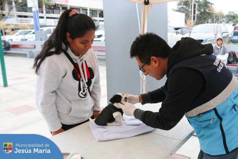 Realizamos una nueva Campaña Veterinaria #Gratuita 🐾 en el Conjunto Residencial San Felipe, en donde nuestros vecinos recibieron recomendaciones para el mejor manejo de la relación de su fiel amigo con el entorno, 👍🏻 así como desparasitación y otros servicios gratuitos a sus mascotitas. 🐕‍🦺
➡️ Este viernes 23 los esperamos desde las 9:00 a.m. en la Plaza San José.