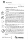 Vista preliminar de documento Acuerdo de Concejo Municipal