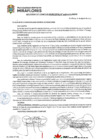 Vista preliminar de documento Acuerdo de Concejo Municipal