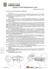 Vista preliminar de documento Acuerdo de Concejo Municipal