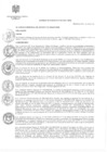 Vista preliminar de documento Acuerdo de Concejo Municipal