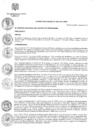 Vista preliminar de documento Acuerdo de Concejo Municipal
