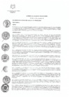 Vista preliminar de documento Acuerdo de Concejo Municipal