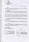 Vista preliminar de documento Acuerdo de Concejo Municipal