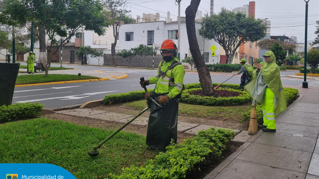 En Jesús María estamos comprometidos con el cuidado y protección de nuestro medio ambiente, 🌎 💚 por ello realizamos un trabajo coordinado para atender los parques y jardines de las principales calles y avenidas en beneficio de todos los vecinos.