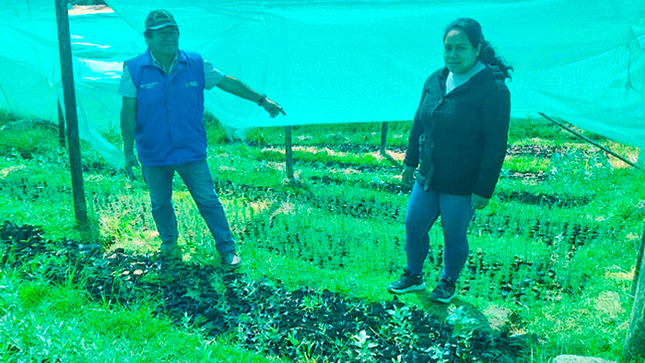 Fotos: Oficina de Imagen Institucional de la GRALL.