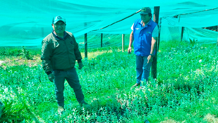 Fotos: Oficina de Imagen Institucional de la GRALL.