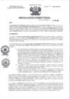 Vista preliminar de documento R.D N° 246-2024-HMA-DG
