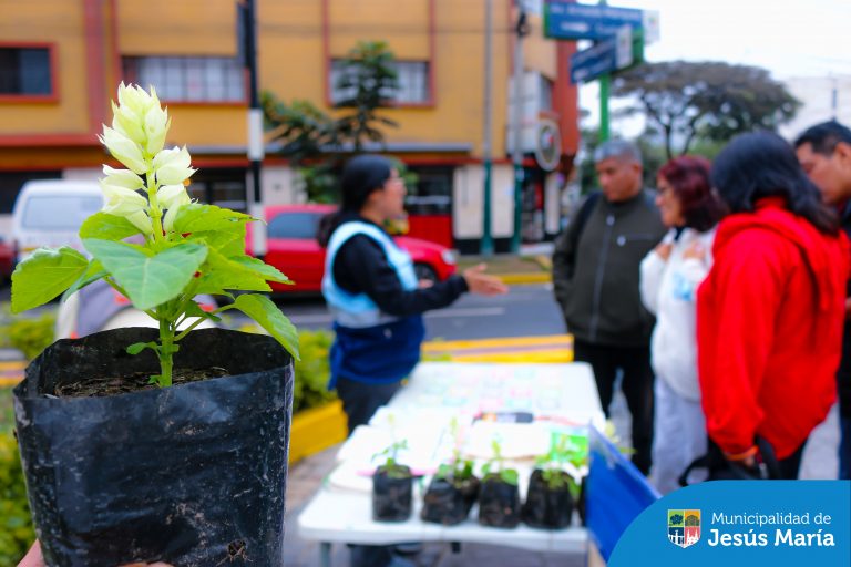 Realizamos la campaña ¡Menos plástico, más vida! de nuestro programa ambiental EDUCCA. 💚 En la jornada, brindamos charlas informativas sobre las consecuencias negativas del plástico en el medio ambiente y el uso de alternativas ecoamigables. 🌎
Además, todos los vecinos que participaron de las dinámicas, se llevaron a casa una hermosa plantita ornamental.