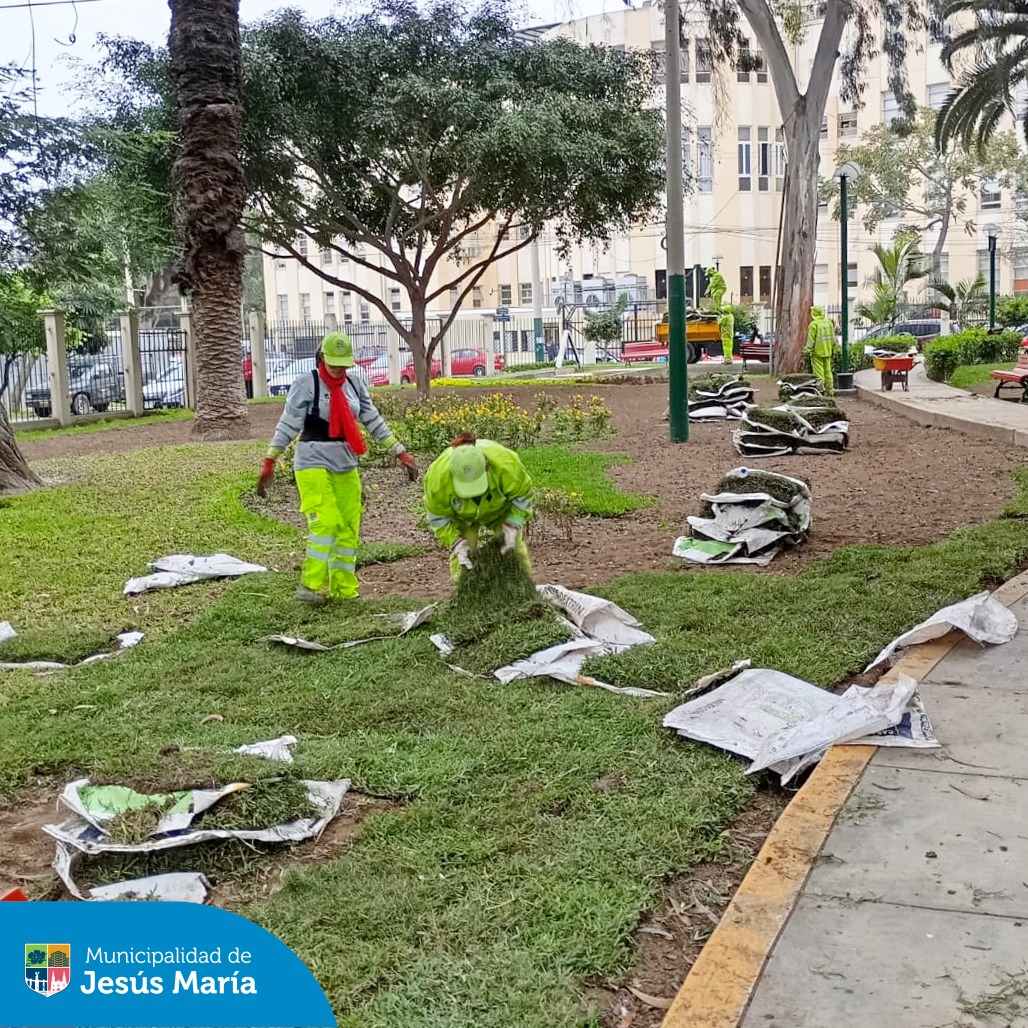Nuestro equipo de Áreas Verdes sigue comprometido con embellecer Jesús María. Esta vez, llegamos al Parque Polonia para realizar trabajos de limpieza y mantenimiento. Además instalamos nuevo grass para que nuestros vecinos disfruten de un espacio más fresco y natural. 💚
Sigamos cuidando juntos nuestros parques y jardines, porque un distrito verde es un distrito saludable