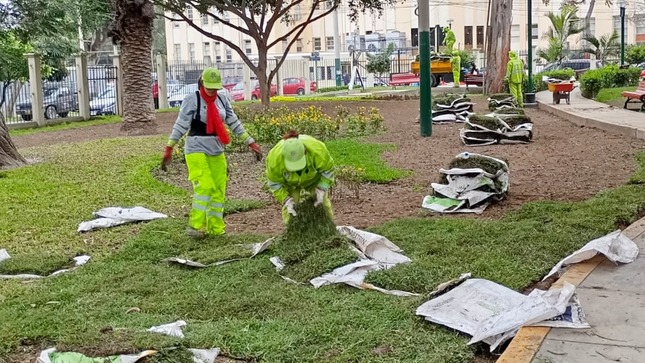 Nuestro equipo de Áreas Verdes sigue comprometido con embellecer Jesús María. Esta vez, llegamos al Parque Polonia para realizar trabajos de limpieza y mantenimiento. Además instalamos nuevo grass para que nuestros vecinos disfruten de un espacio más fresco y natural. 💚
Sigamos cuidando juntos nuestros parques y jardines, porque un distrito verde es un distrito saludable