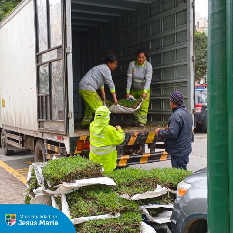 Nuestro equipo de Áreas Verdes sigue comprometido con embellecer Jesús María. Esta vez, llegamos al Parque Polonia para realizar trabajos de limpieza y mantenimiento. Además instalamos nuevo grass para que nuestros vecinos disfruten de un espacio más fresco y natural. 💚
Sigamos cuidando juntos nuestros parques y jardines, porque un distrito verde es un distrito saludable