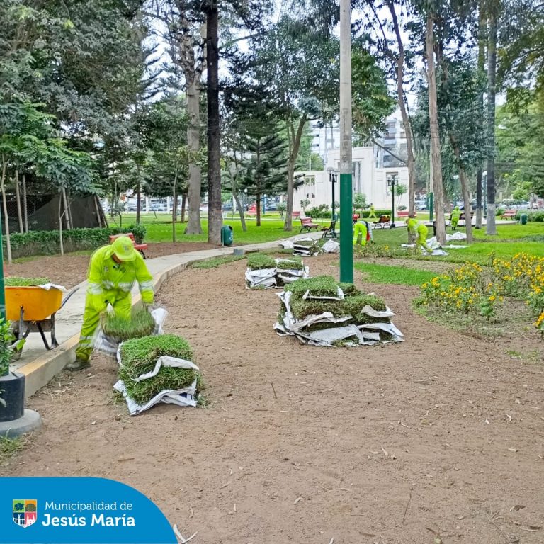 Nuestro equipo de Áreas Verdes sigue comprometido con embellecer Jesús María. Esta vez, llegamos al Parque Polonia para realizar trabajos de limpieza y mantenimiento. Además instalamos nuevo grass para que nuestros vecinos disfruten de un espacio más fresco y natural. 💚
Sigamos cuidando juntos nuestros parques y jardines, porque un distrito verde es un distrito saludable