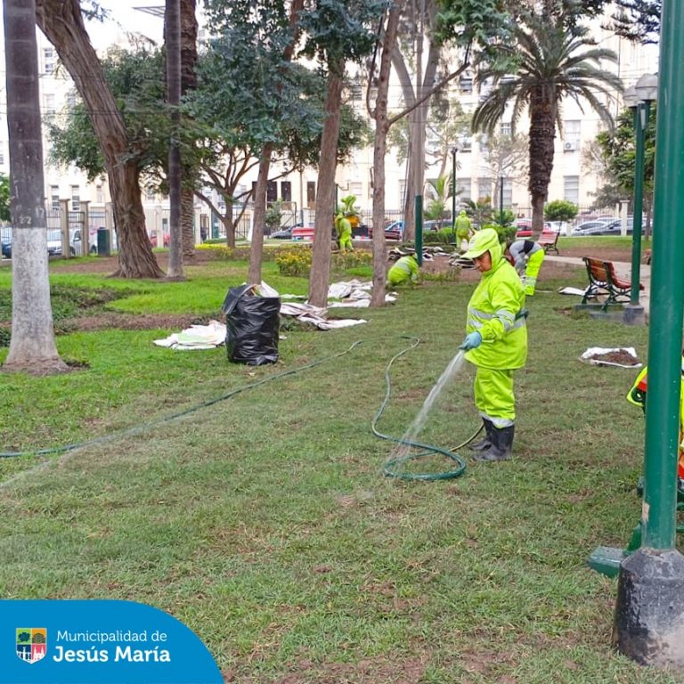 Nuestro equipo de Áreas Verdes sigue comprometido con embellecer Jesús María. Esta vez, llegamos al Parque Polonia para realizar trabajos de limpieza y mantenimiento. Además instalamos nuevo grass para que nuestros vecinos disfruten de un espacio más fresco y natural. 💚
Sigamos cuidando juntos nuestros parques y jardines, porque un distrito verde es un distrito saludable