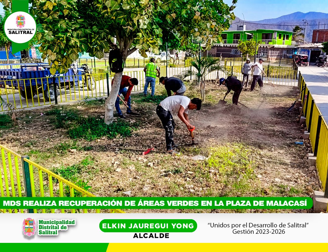 MDS realiza recuperación de áreas verdes en la plaza de Malacasí