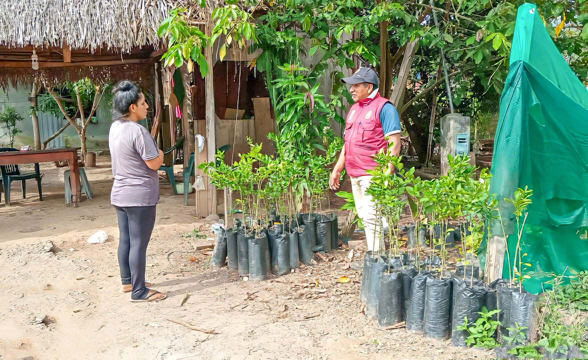 DRA Ayacucho garantiza eficiente manejo de plantaciones frutícolas y forestales en Huanta y La Mar 