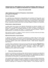 Vista preliminar de documento Resumen ejecutivo (2004)
