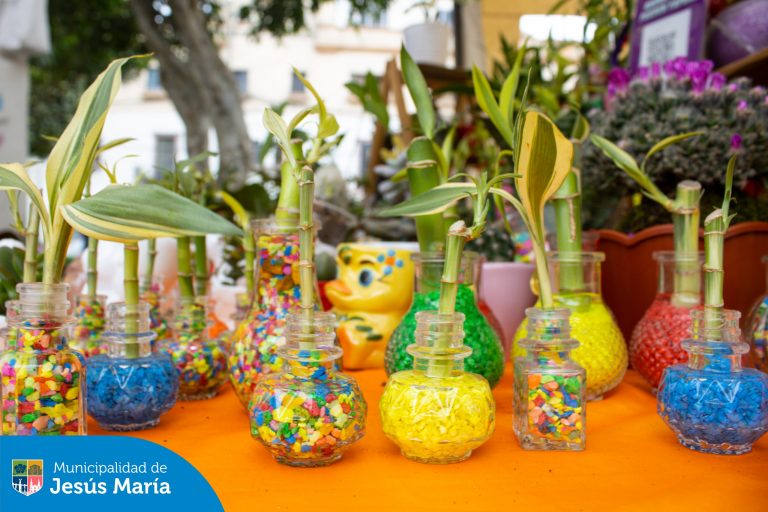 Estamos este sábado 31 y domingo 1 de setiembre para aprovechar los increíbles precios. 📷 Te esperamos en el Parque Huiracocha

📷 de 8:00 a.m. a 4:00 p.m.