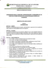 Vista preliminar de documento DIRECTIVA REDES SOCIALES
